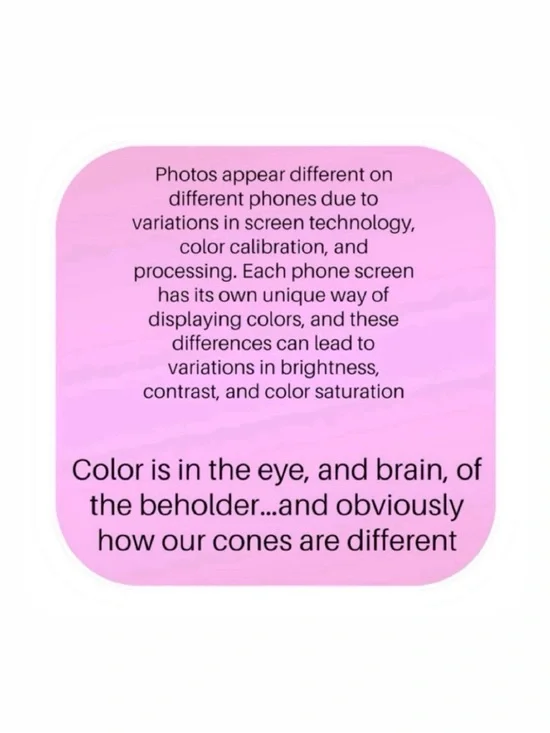 NWT Dolls Kill Generation Kiss L Zebra Rainbow sheer Top - Picture 9 of 11